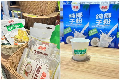 南國食品 椰香飄逸大灣區南國椰子節引領 椰味 新風尚